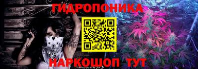 прущие крисы Заволжье