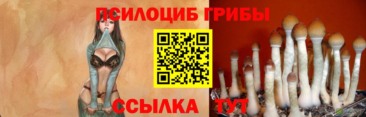 Лосино-Петровский  Псилоцибиновые грибы GOLDEN TEACHER  Вход с VPN 